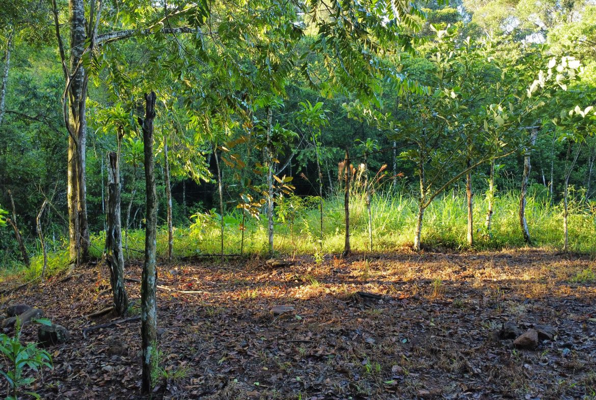 EXCEPTIONAL PROPERTY IN LA LINDA DE GENERAL VIEJO – A DEVELOPER’S DREAM WITH NATURAL SPLENDOR AND PRIME LOCATION – 25 acres