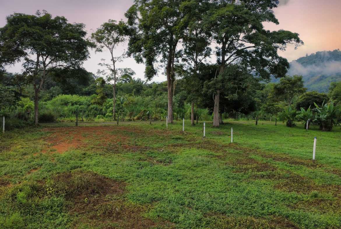 PRIME RESIDENTIAL & COMMERCIAL DEVELOPMENT LAND WITH RIVER FRONTAGE – 2.3 ACRES
