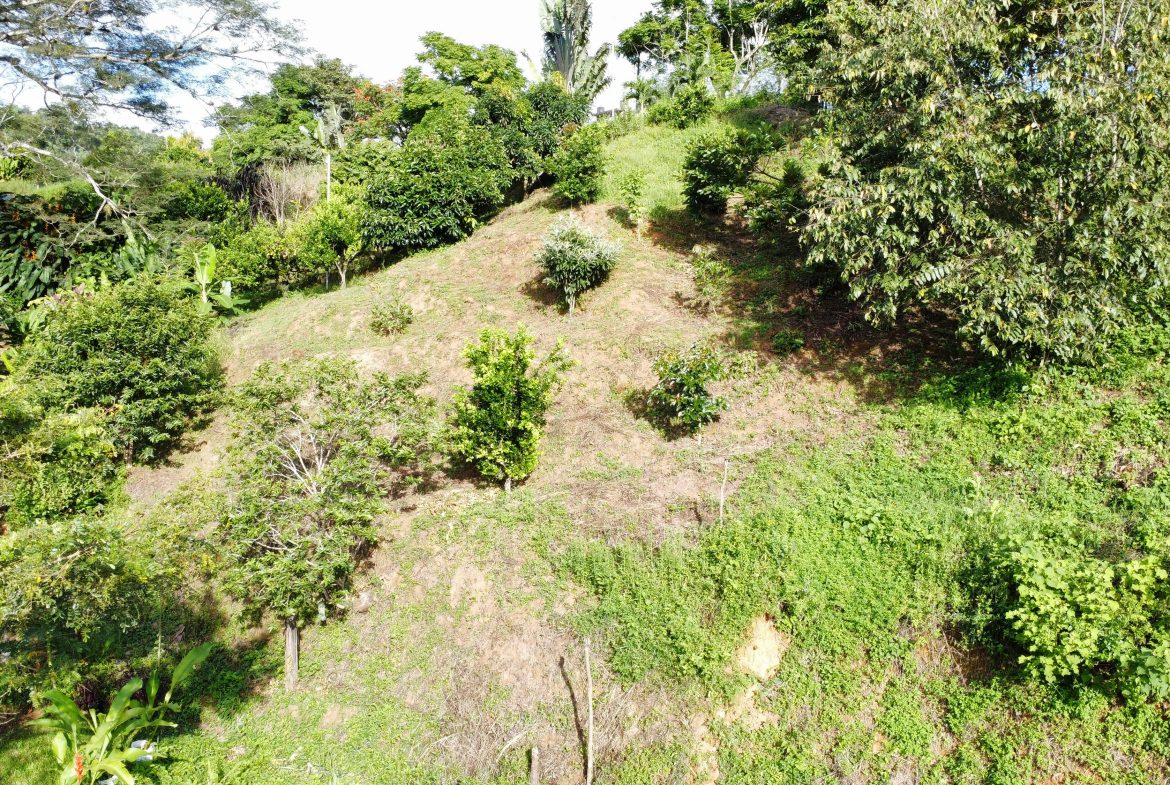 PRIME RESIDENTIAL & COMMERCIAL DEVELOPMENT LAND WITH RIVER FRONTAGE – 2.3 ACRES