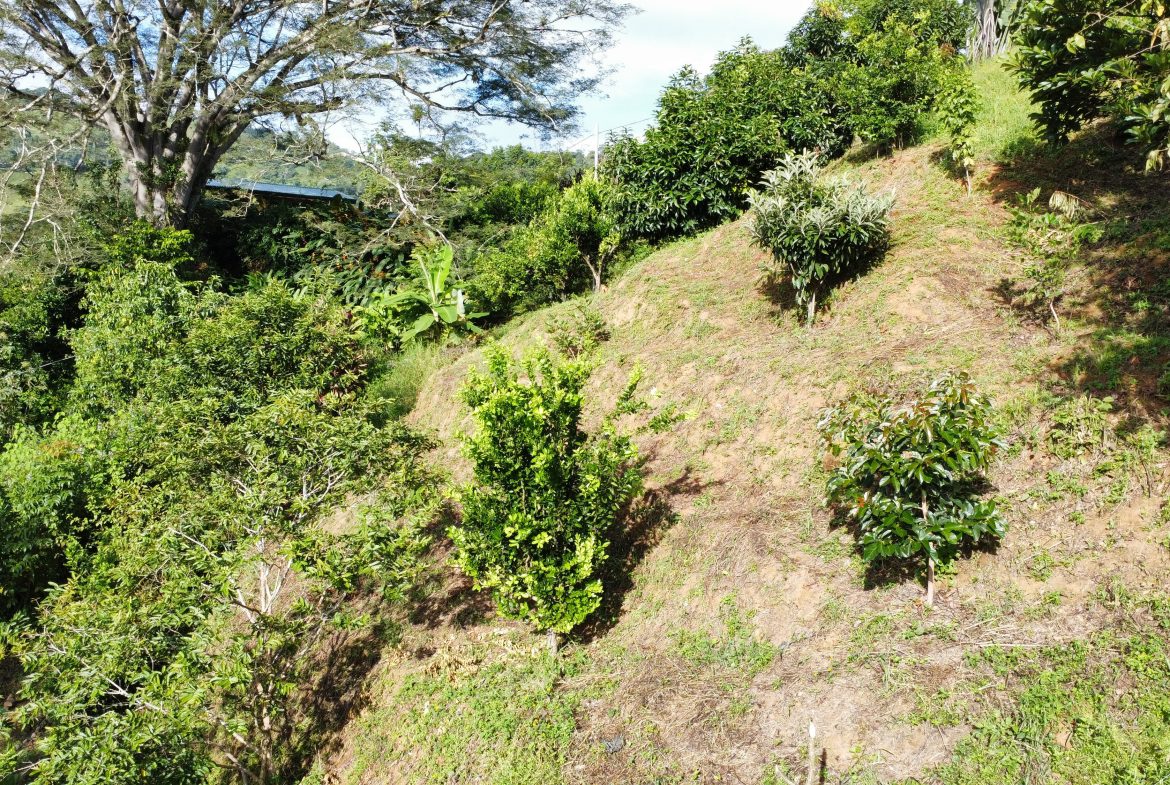 PRIME RESIDENTIAL & COMMERCIAL DEVELOPMENT LAND WITH RIVER FRONTAGE – 2.3 ACRES