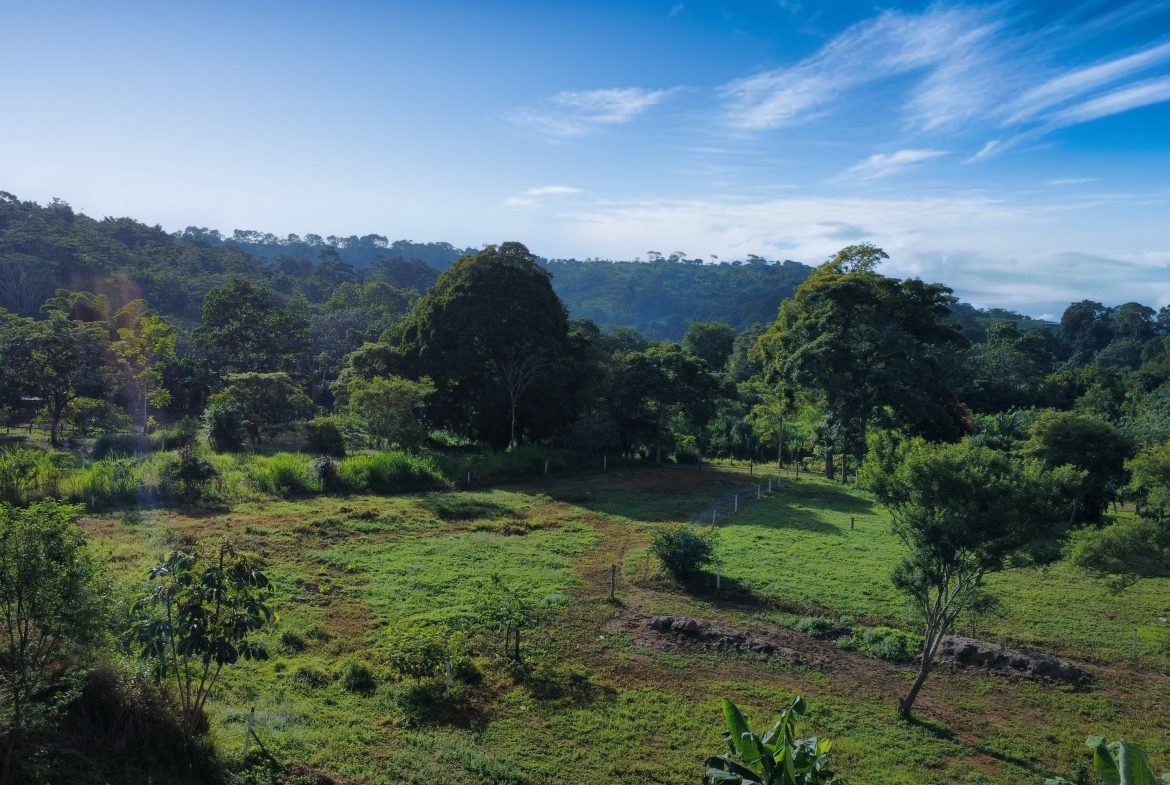 PRIME RESIDENTIAL & COMMERCIAL DEVELOPMENT LAND WITH RIVER FRONTAGE – 2.3 ACRES