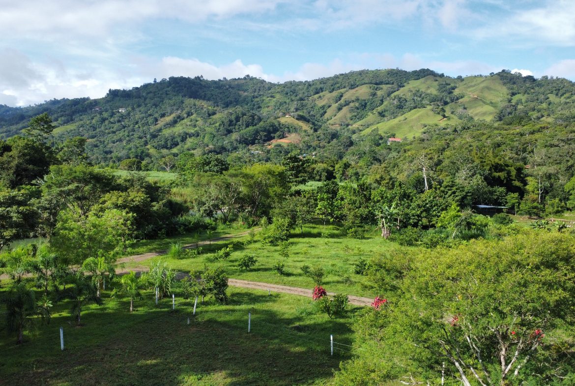 PRIME RESIDENTIAL & COMMERCIAL DEVELOPMENT LAND WITH RIVER FRONTAGE – 2.3 ACRES