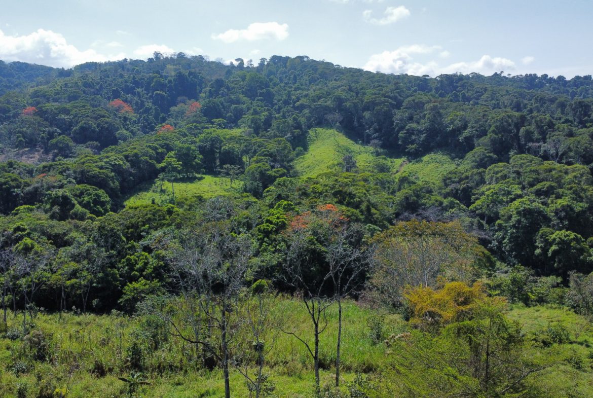 EXCEPTIONAL PROPERTY IN LA LINDA DE GENERAL VIEJO – A DEVELOPER’S DREAM WITH NATURAL SPLENDOR AND PRIME LOCATION – 25 acres