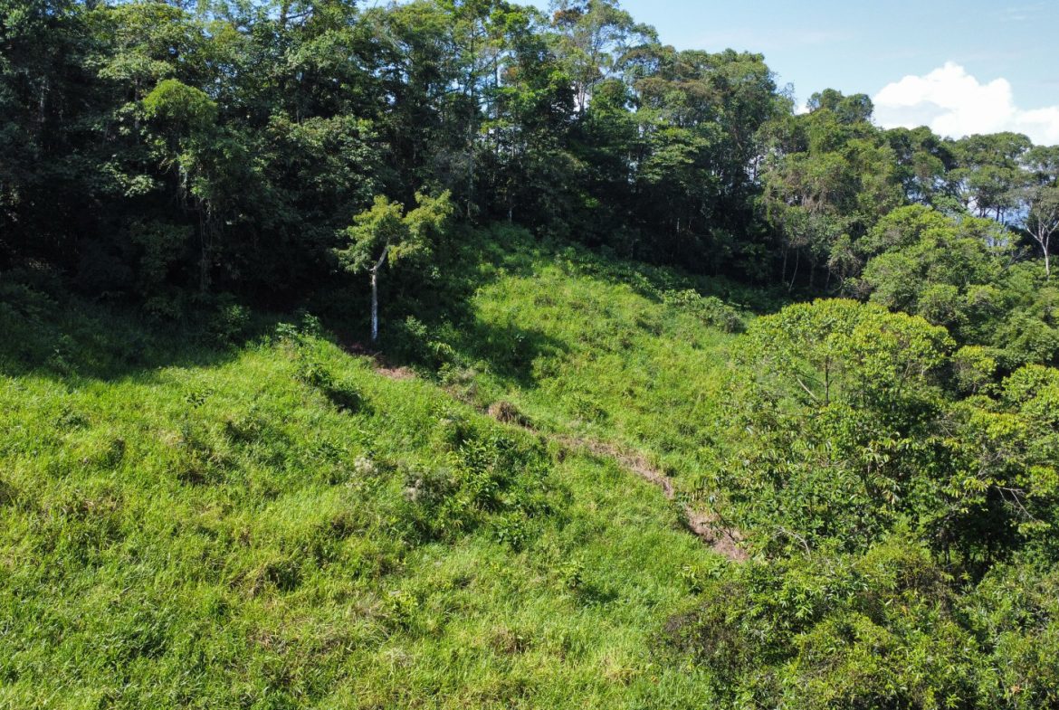 EXCEPTIONAL PROPERTY IN LA LINDA DE GENERAL VIEJO – A DEVELOPER’S DREAM WITH NATURAL SPLENDOR AND PRIME LOCATION – 25 acres