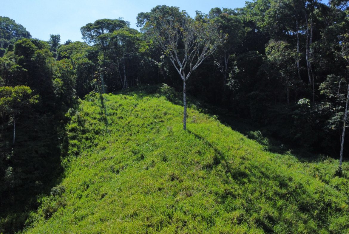 EXCEPTIONAL PROPERTY IN LA LINDA DE GENERAL VIEJO – A DEVELOPER’S DREAM WITH NATURAL SPLENDOR AND PRIME LOCATION – 25 acres