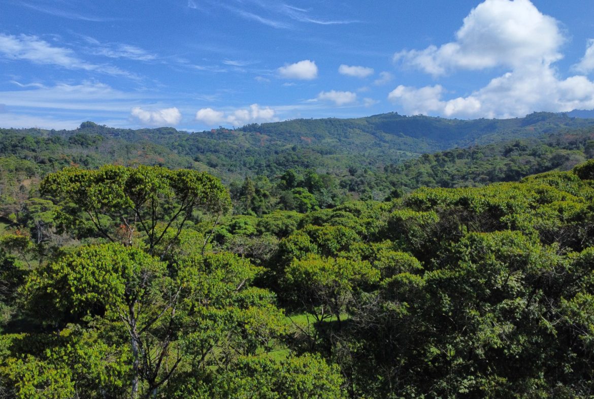 EXCEPTIONAL PROPERTY IN LA LINDA DE GENERAL VIEJO – A DEVELOPER’S DREAM WITH NATURAL SPLENDOR AND PRIME LOCATION – 25 acres