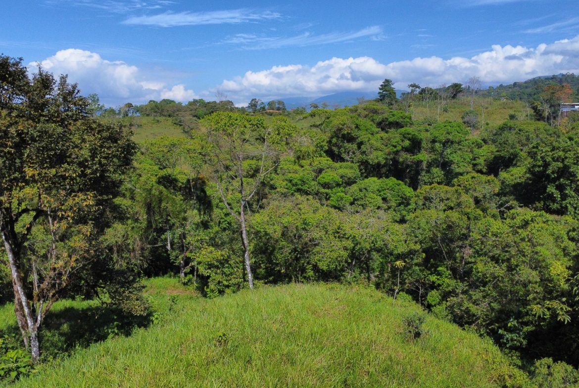 EXCEPTIONAL PROPERTY IN LA LINDA DE GENERAL VIEJO – A DEVELOPER’S DREAM WITH NATURAL SPLENDOR AND PRIME LOCATION – 25 acres