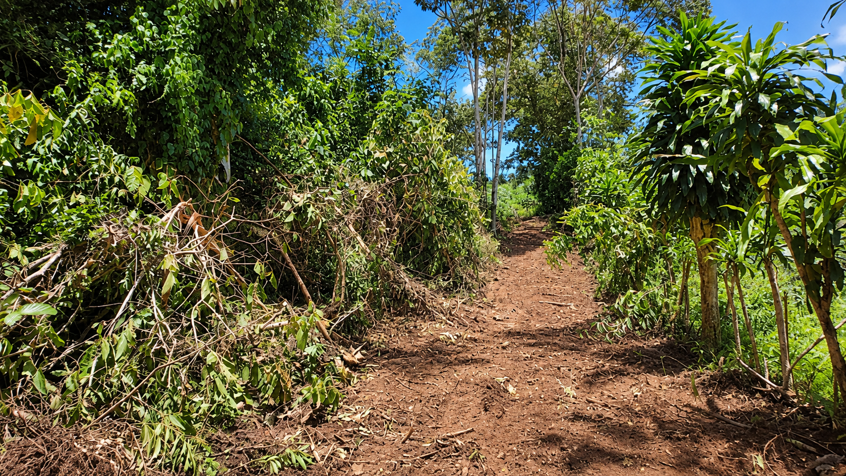 EXCEPTIONAL PROPERTY IN LA LINDA DE GENERAL VIEJO – A DEVELOPER’S DREAM WITH NATURAL SPLENDOR AND PRIME LOCATION – 25 acres