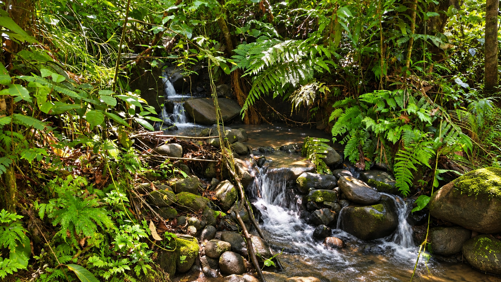 EXCEPTIONAL PROPERTY IN LA LINDA DE GENERAL VIEJO – A DEVELOPER’S DREAM WITH NATURAL SPLENDOR AND PRIME LOCATION – 25 acres