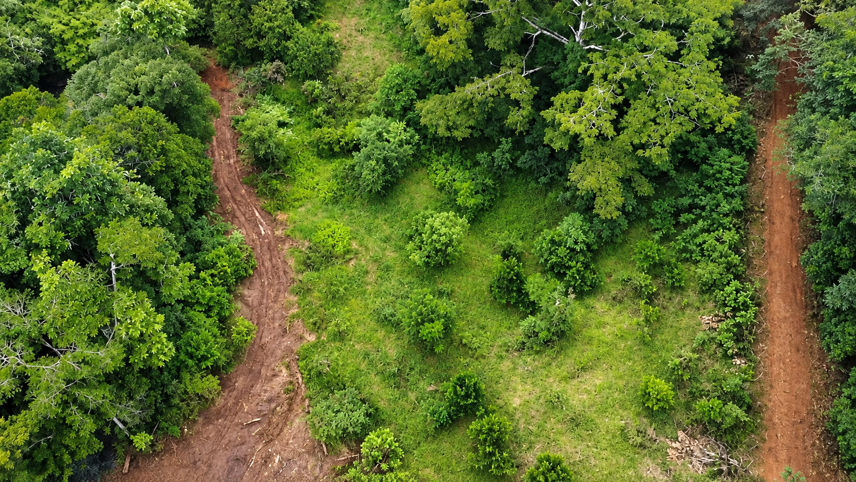 EXCEPTIONAL PROPERTY IN LA LINDA DE GENERAL VIEJO – A DEVELOPER’S DREAM WITH NATURAL SPLENDOR AND PRIME LOCATION – 25 acres