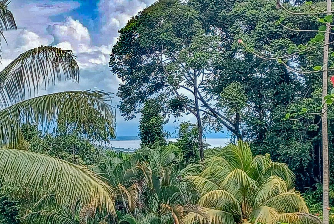 HOUSE WITH WATERFALL ACCESS AND PRIVACY CLOSE TO UVITA AND OJOCHAL – 3.8 ACRES