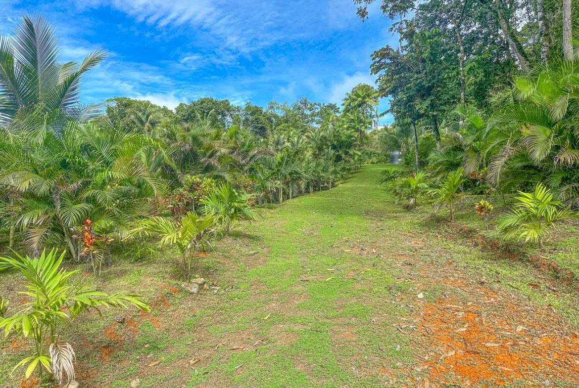 HOUSE WITH WATERFALL ACCESS AND PRIVACY CLOSE TO UVITA AND OJOCHAL – 3.8 ACRES
