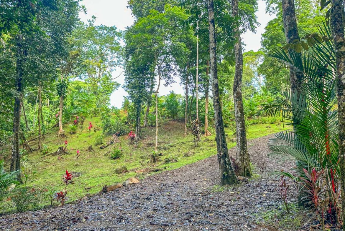 HOUSE WITH WATERFALL ACCESS AND PRIVACY CLOSE TO UVITA AND OJOCHAL – 3.8 ACRES