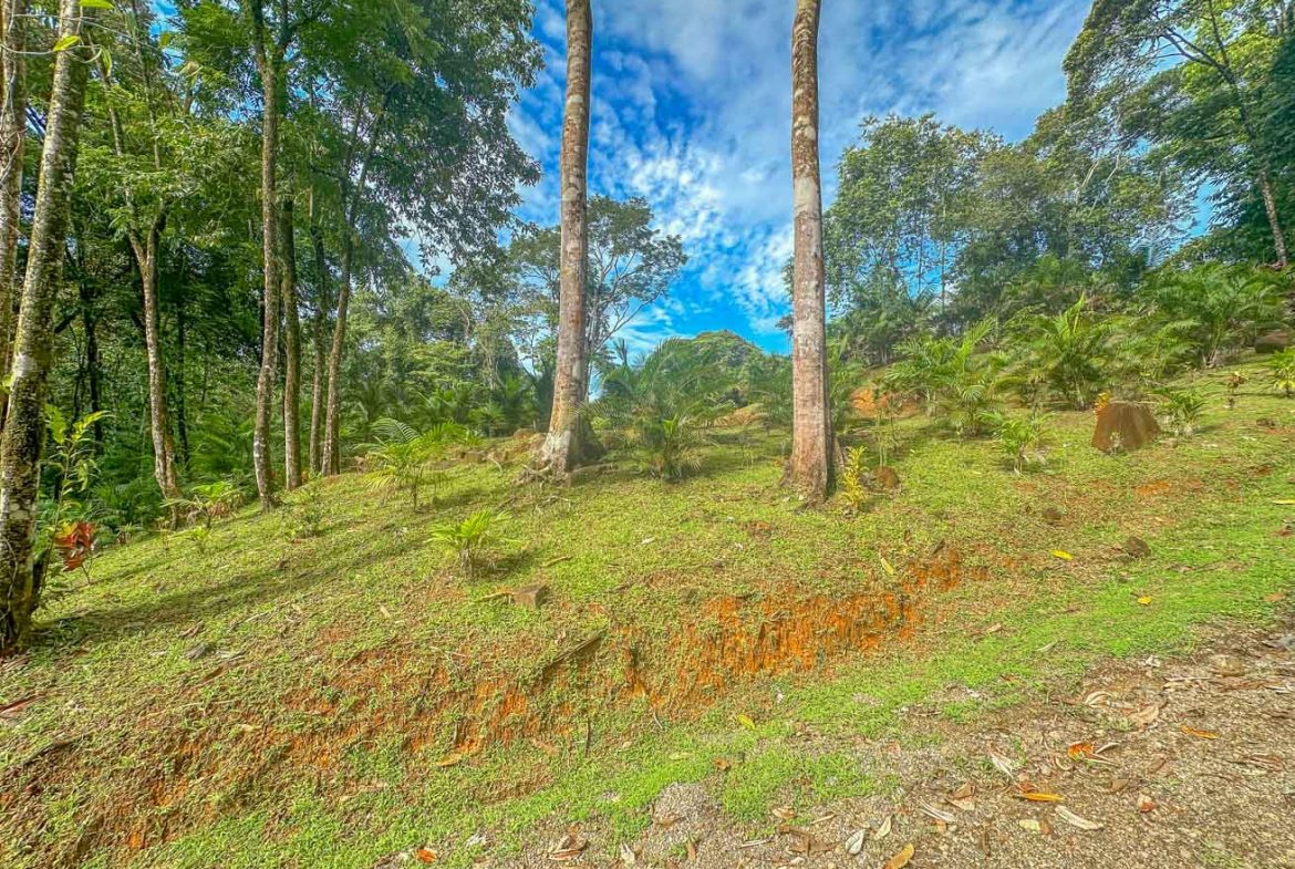 HOUSE WITH WATERFALL ACCESS AND PRIVACY CLOSE TO UVITA AND OJOCHAL – 3.8 ACRES