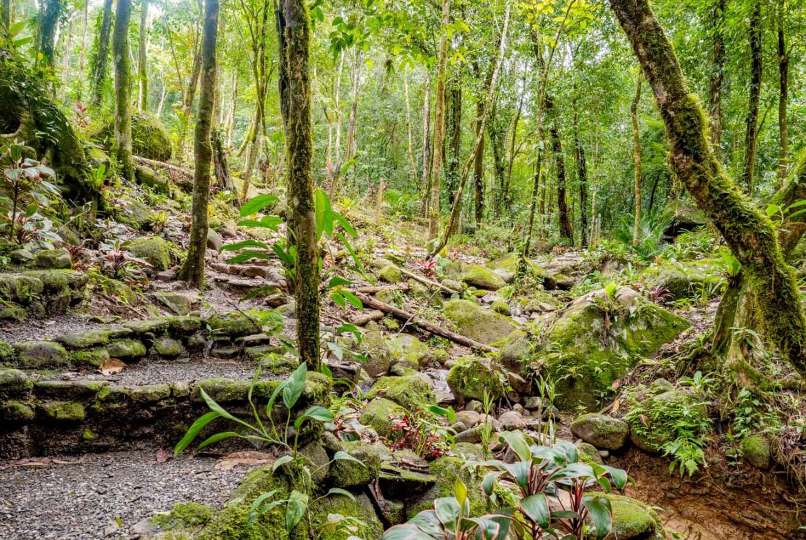 HOUSE WITH WATERFALL ACCESS AND PRIVACY CLOSE TO UVITA AND OJOCHAL – 3.8 ACRES