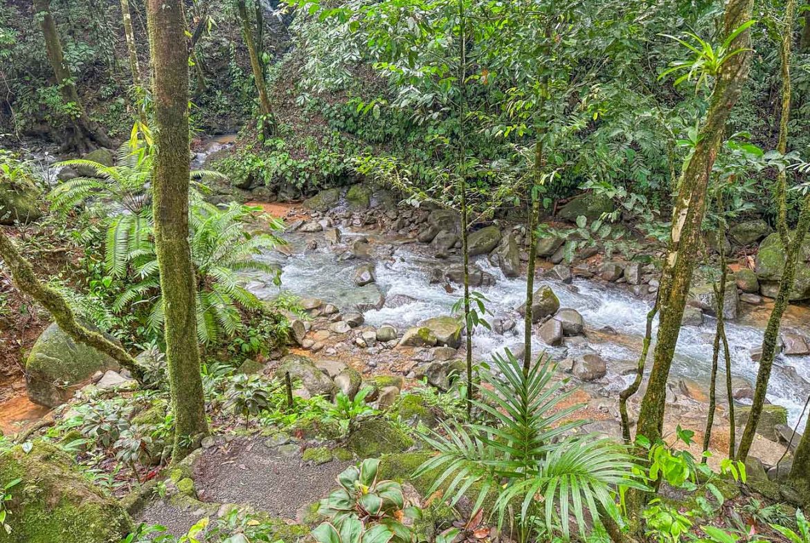 HOUSE WITH WATERFALL ACCESS AND PRIVACY CLOSE TO UVITA AND OJOCHAL – 3.8 ACRES