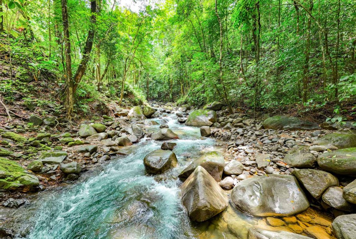 HOUSE WITH WATERFALL ACCESS AND PRIVACY CLOSE TO UVITA AND OJOCHAL – 3.8 ACRES