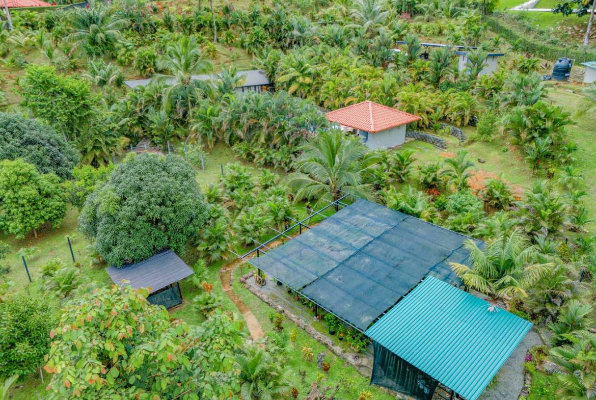 HOUSE WITH WATERFALL ACCESS AND PRIVACY CLOSE TO UVITA AND OJOCHAL – 3.8 ACRES