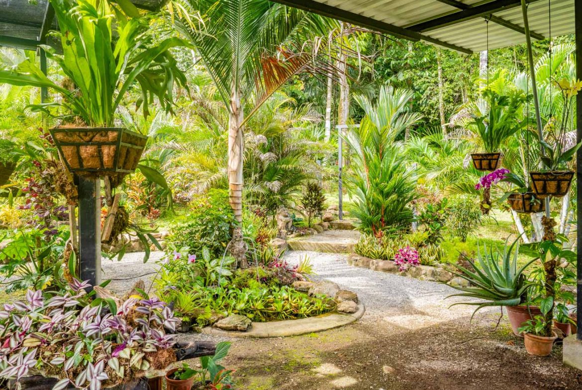 HOUSE WITH WATERFALL ACCESS AND PRIVACY CLOSE TO UVITA AND OJOCHAL – 3.8 ACRES
