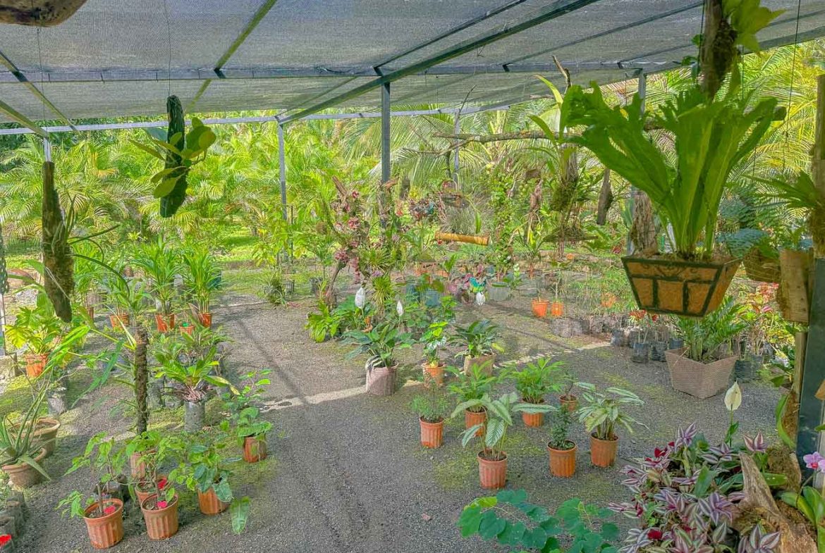 HOUSE WITH WATERFALL ACCESS AND PRIVACY CLOSE TO UVITA AND OJOCHAL – 3.8 ACRES