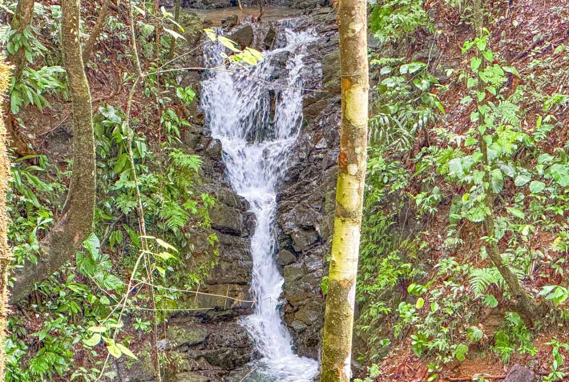 HOUSE WITH WATERFALL ACCESS AND PRIVACY CLOSE TO UVITA AND OJOCHAL – 3.8 ACRES, Uvita, Costa Rica — photo 4