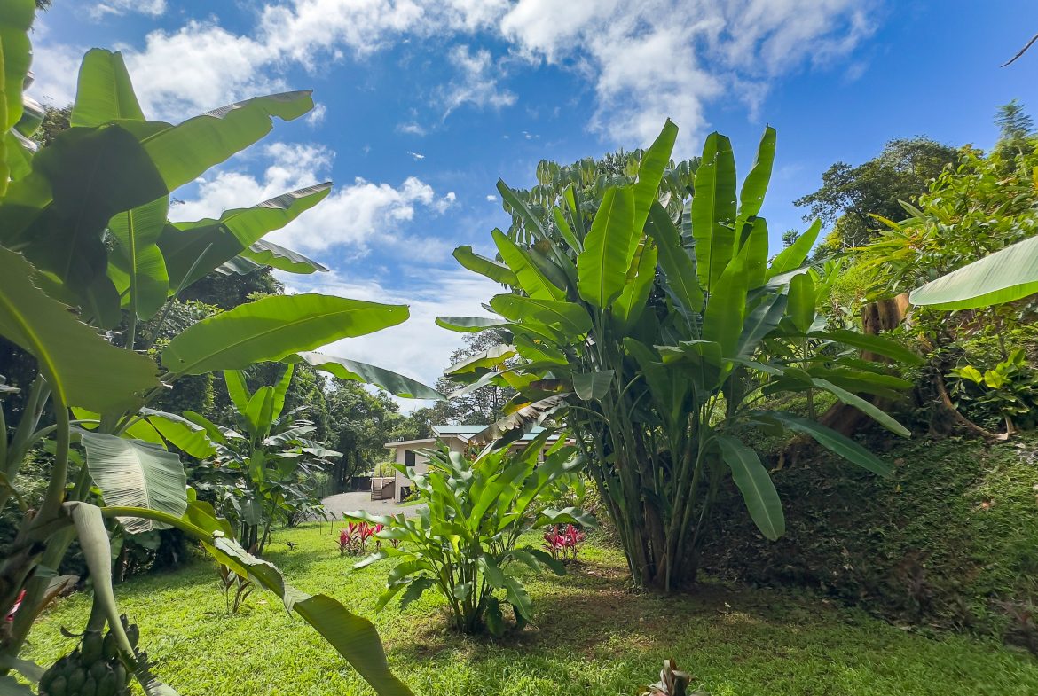 LUXURY 3 BEDROOM HOME WITH LUSH GARDEN , TREES AND PRIVACY – 0.98 ACRES