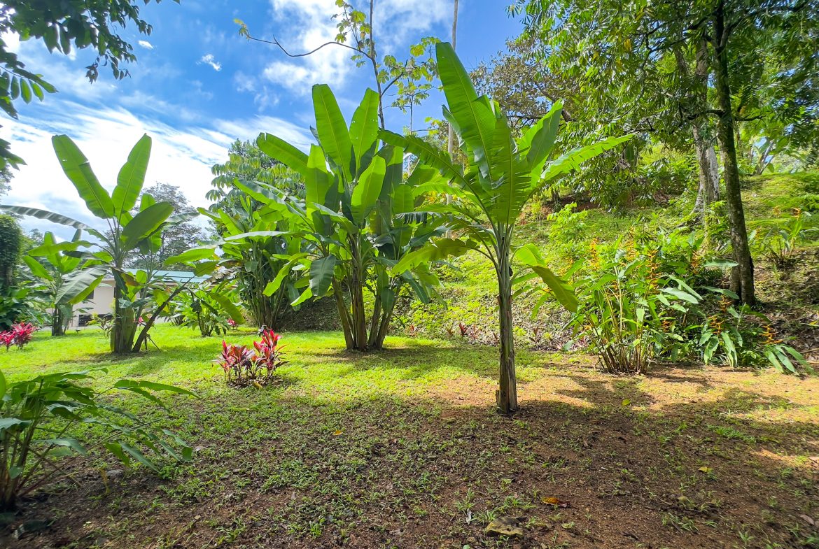 LUXURY 3 BEDROOM HOME WITH LUSH GARDEN , TREES AND PRIVACY – 0.98 ACRES