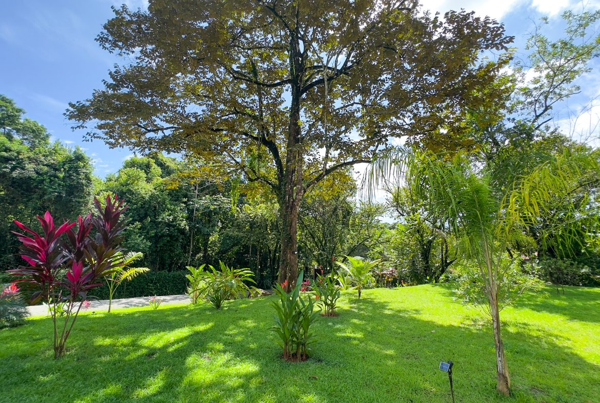 LUXURY 3 BEDROOM HOME WITH LUSH GARDEN , TREES AND PRIVACY – 0.98 ACRES