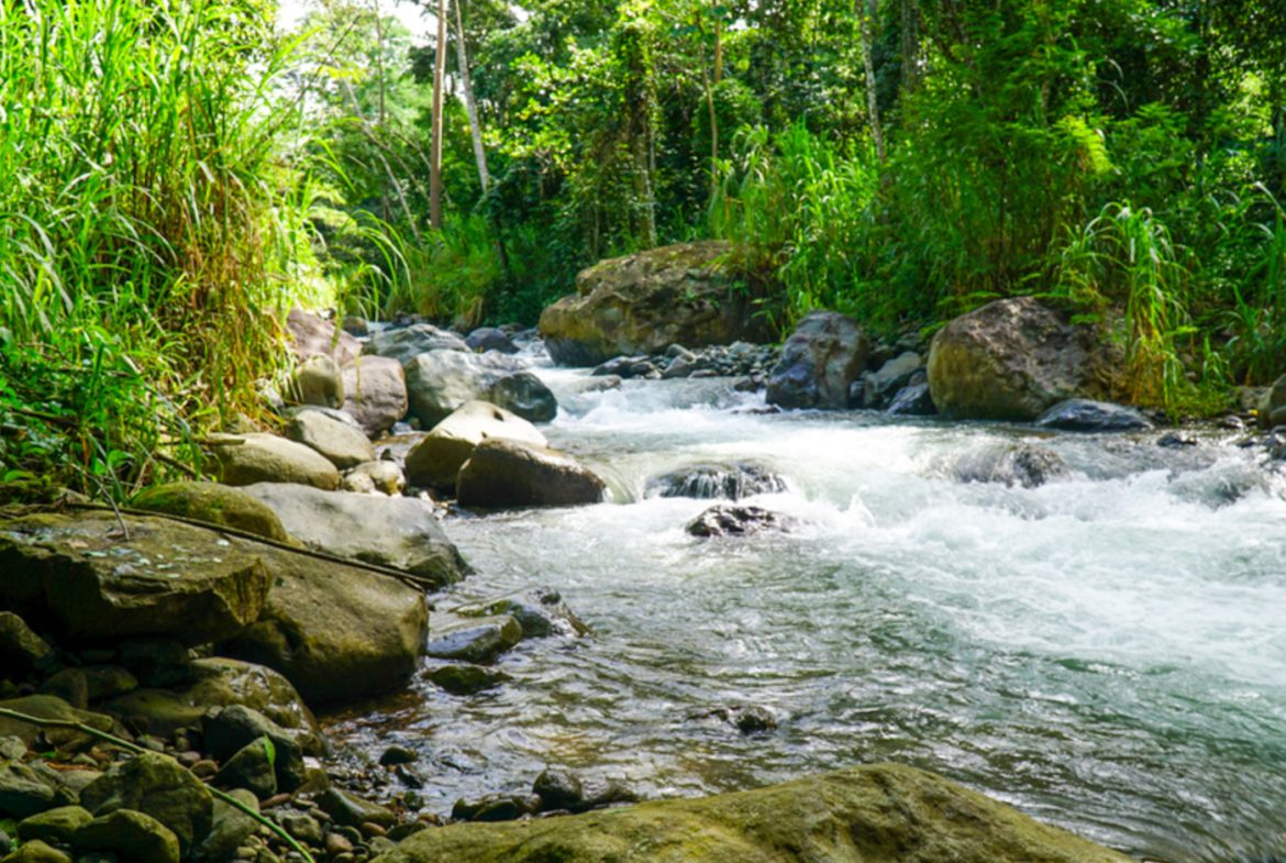 LUXURIOUS 4 BEDROOM HOME PLUS GUEST HOUSE WITH JUNGLE AND RIVER – 1.44 ACRES