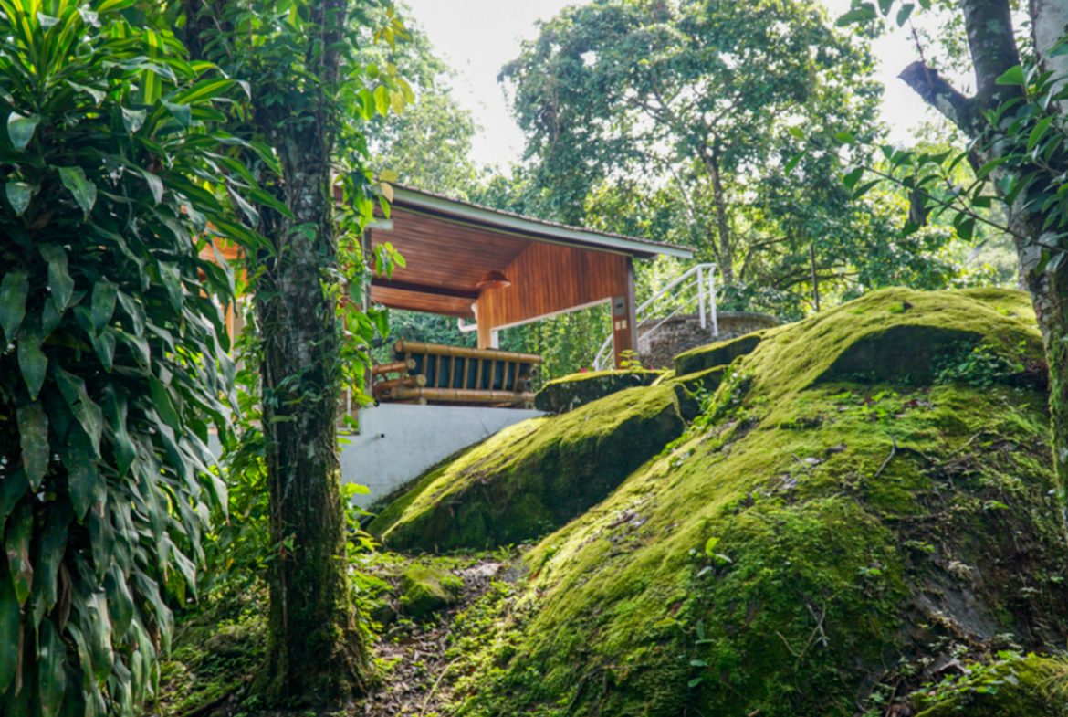 LUXURIOUS 4 BEDROOM HOME PLUS GUEST HOUSE WITH JUNGLE AND RIVER – 1.44 ACRES