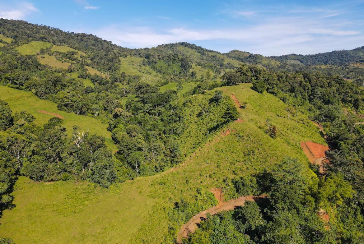 NATURAL PLAYGROUND – WATERFALL PROPERTY WITH SWIMMING HOLES AND SELF SUSTAINABILITY POTENCIAL  – 128 ACRES