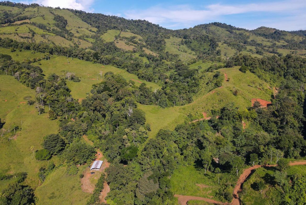 NATURAL PLAYGROUND – WATERFALL PROPERTY WITH SWIMMING HOLES AND SELF SUSTAINABILITY POTENCIAL  – 128 ACRES