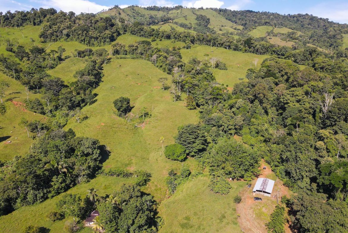 NATURAL PLAYGROUND – WATERFALL PROPERTY WITH SWIMMING HOLES AND SELF SUSTAINABILITY POTENCIAL  – 128 ACRES