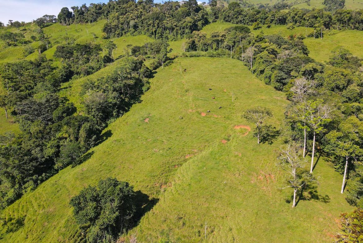NATURAL PLAYGROUND – WATERFALL PROPERTY WITH SWIMMING HOLES AND SELF SUSTAINABILITY POTENCIAL  – 128 ACRES