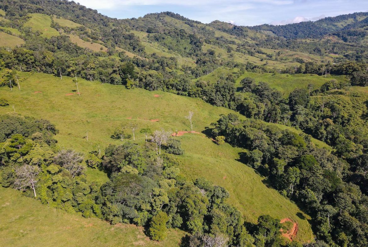 NATURAL PLAYGROUND – WATERFALL PROPERTY WITH SWIMMING HOLES AND SELF SUSTAINABILITY POTENCIAL  – 128 ACRES