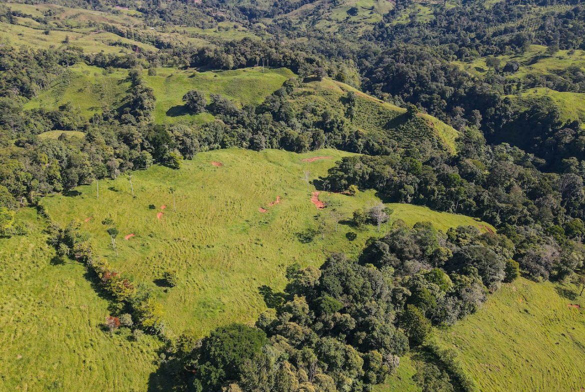 NATURAL PLAYGROUND – WATERFALL PROPERTY WITH SWIMMING HOLES AND SELF SUSTAINABILITY POTENCIAL  – 128 ACRES