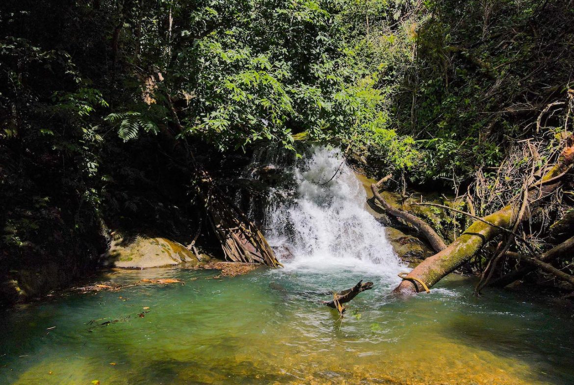 NATURAL PLAYGROUND – WATERFALL PROPERTY WITH SWIMMING HOLES AND SELF SUSTAINABILITY POTENCIAL  – 128 ACRES