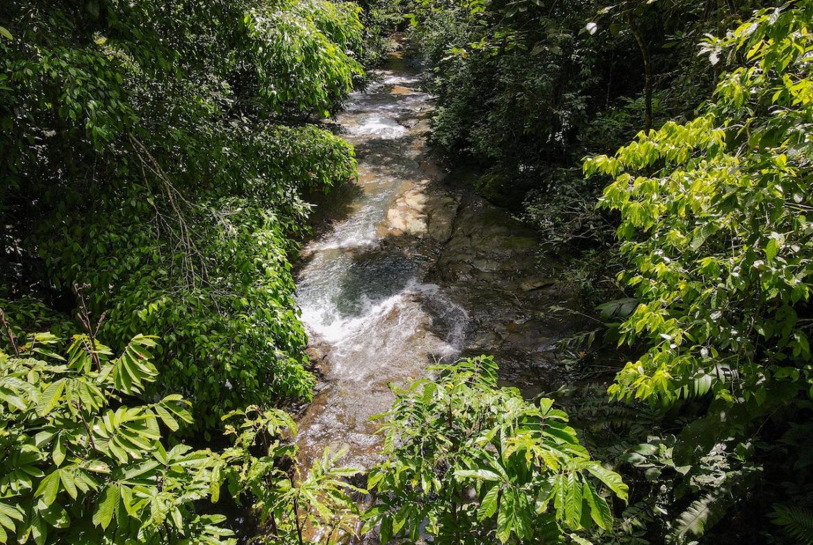 NATURAL PLAYGROUND – WATERFALL PROPERTY WITH SWIMMING HOLES AND SELF SUSTAINABILITY POTENCIAL  – 128 ACRES