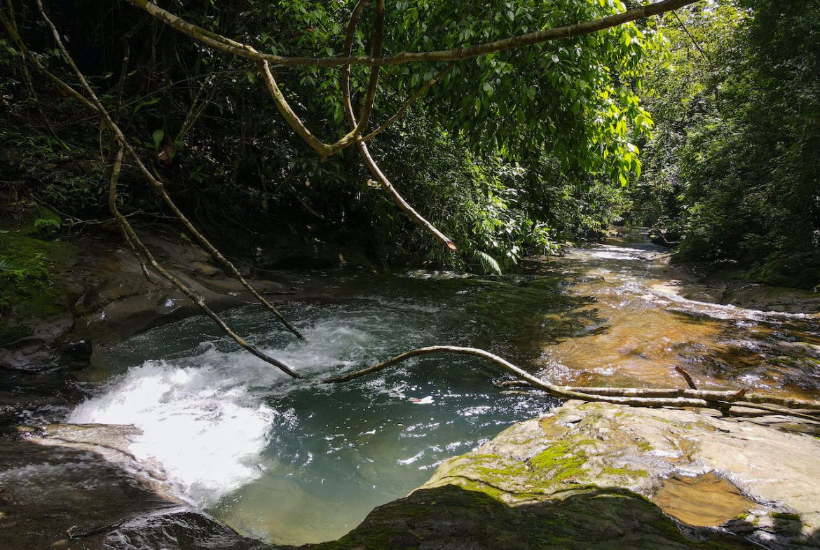 NATURAL PLAYGROUND – WATERFALL PROPERTY WITH SWIMMING HOLES AND SELF SUSTAINABILITY POTENCIAL  – 128 ACRES