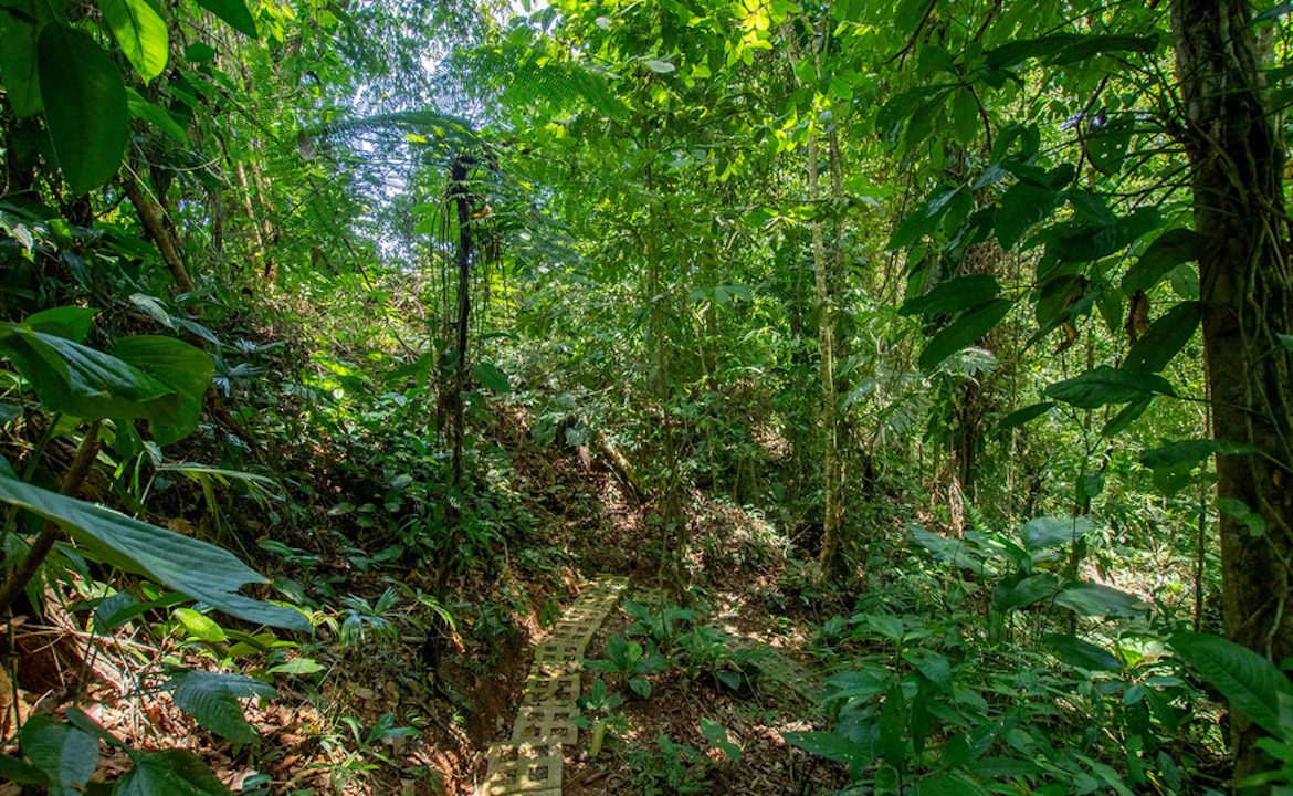 OCEAN VIEW HOME IN ESCALERAS NEAR DOMINICAL – 1.77 ACRES