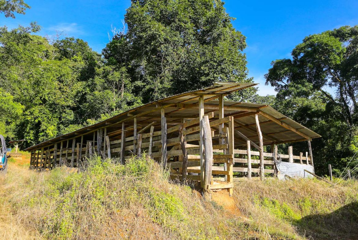 NATURAL PLAYGROUND – WATERFALL PROPERTY WITH SWIMMING HOLES AND SELF SUSTAINABILITY POTENCIAL  – 128 ACRES