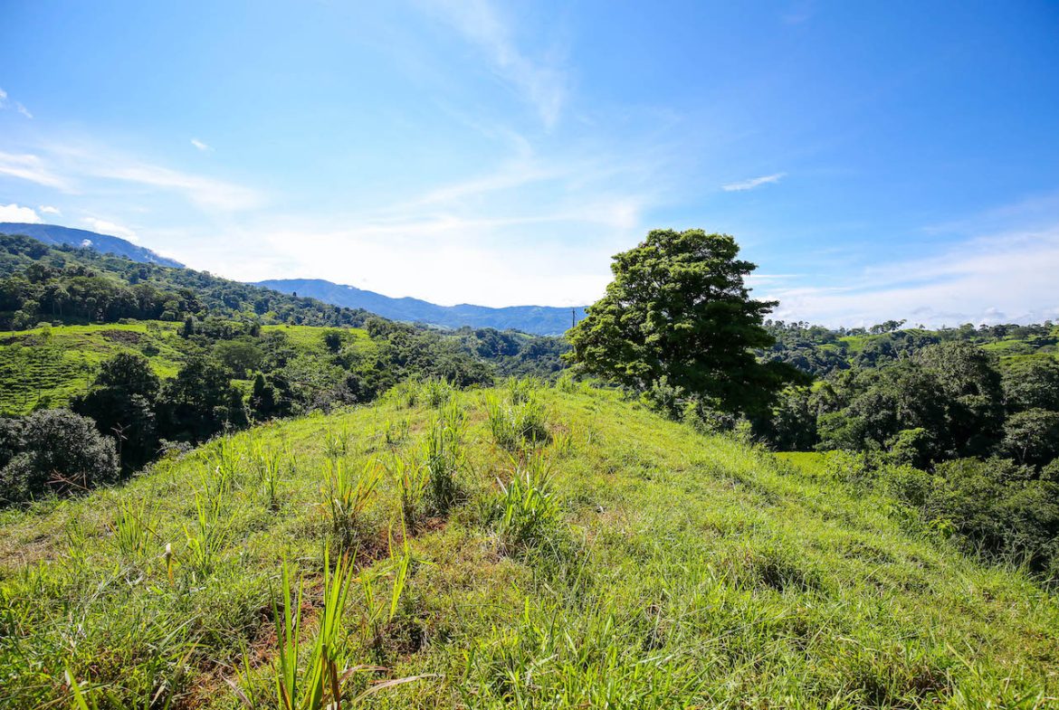 NATURAL PLAYGROUND – WATERFALL PROPERTY WITH SWIMMING HOLES AND SELF SUSTAINABILITY POTENCIAL  – 128 ACRES