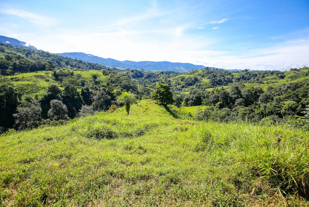 NATURAL PLAYGROUND – WATERFALL PROPERTY WITH SWIMMING HOLES AND SELF SUSTAINABILITY POTENCIAL  – 128 ACRES