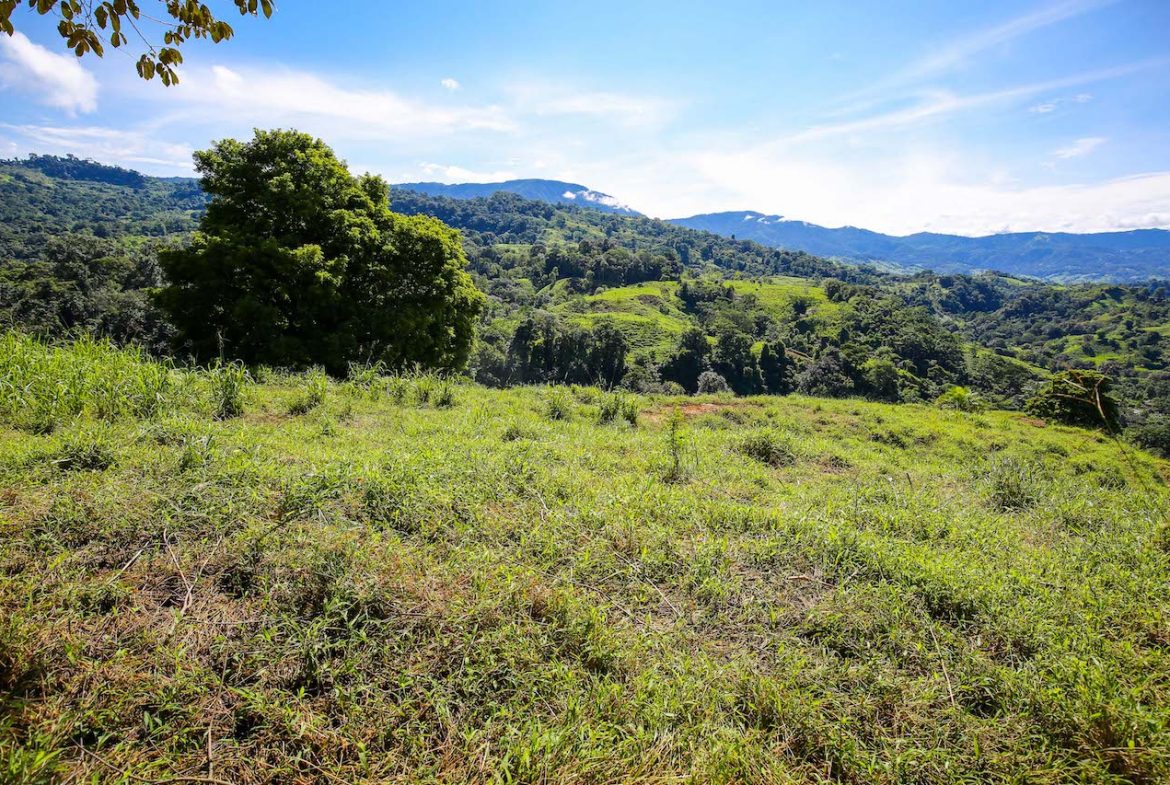 NATURAL PLAYGROUND – WATERFALL PROPERTY WITH SWIMMING HOLES AND SELF SUSTAINABILITY POTENCIAL  – 128 ACRES