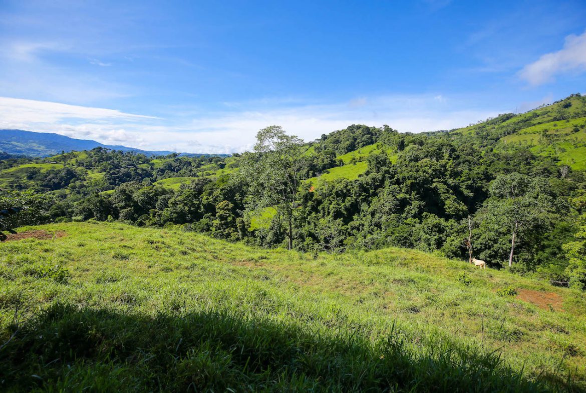 NATURAL PLAYGROUND – WATERFALL PROPERTY WITH SWIMMING HOLES AND SELF SUSTAINABILITY POTENCIAL  – 128 ACRES