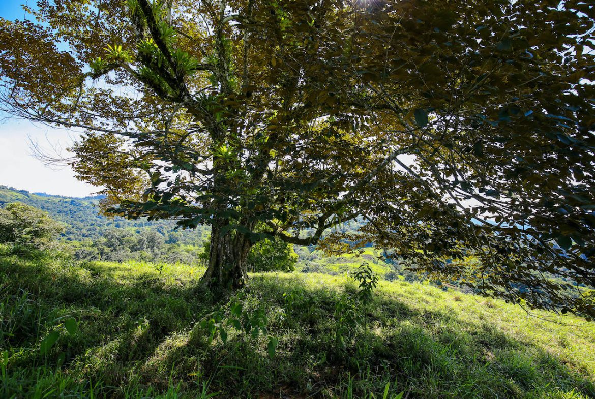 NATURAL PLAYGROUND – WATERFALL PROPERTY WITH SWIMMING HOLES AND SELF SUSTAINABILITY POTENCIAL  – 128 ACRES