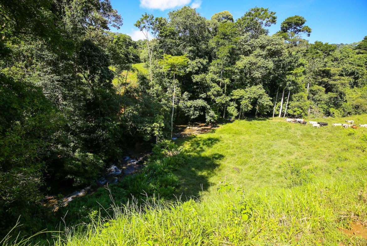 NATURAL PLAYGROUND – WATERFALL PROPERTY WITH SWIMMING HOLES AND SELF SUSTAINABILITY POTENCIAL  – 128 ACRES