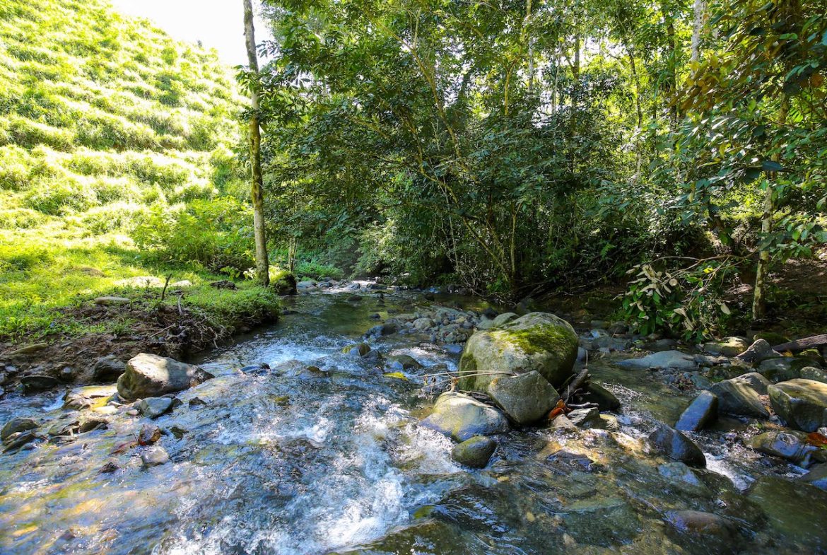 NATURAL PLAYGROUND – WATERFALL PROPERTY WITH SWIMMING HOLES AND SELF SUSTAINABILITY POTENCIAL  – 128 ACRES