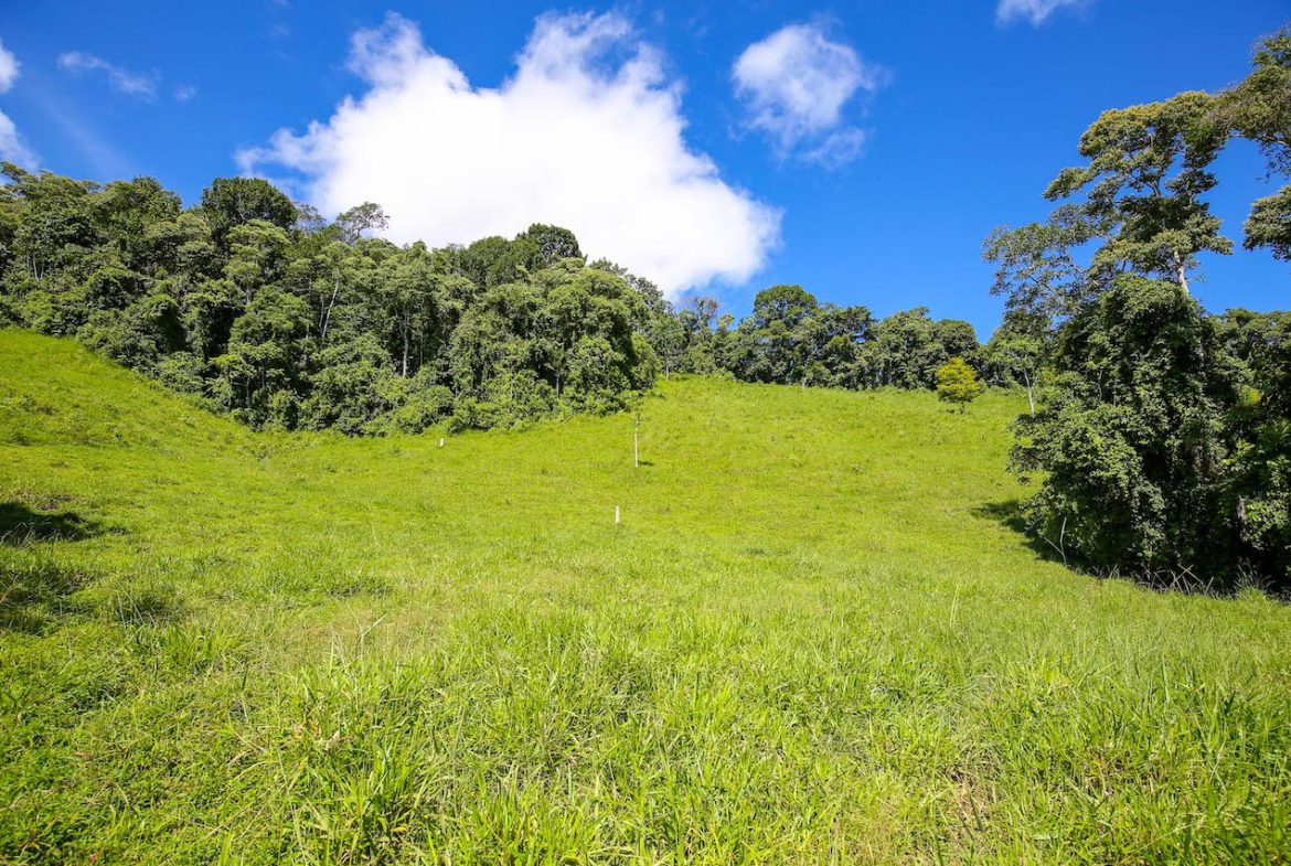 NATURAL PLAYGROUND – WATERFALL PROPERTY WITH SWIMMING HOLES AND SELF SUSTAINABILITY POTENCIAL  – 128 ACRES