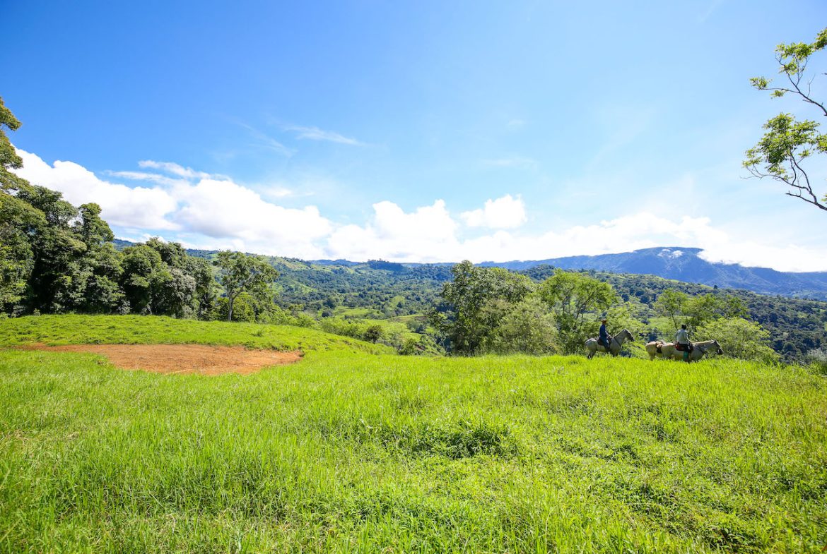 NATURAL PLAYGROUND – WATERFALL PROPERTY WITH SWIMMING HOLES AND SELF SUSTAINABILITY POTENCIAL  – 128 ACRES
